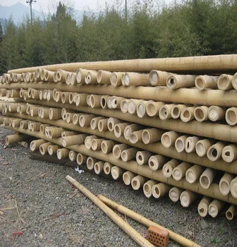 moso bamboo cane for decoration and construction