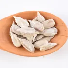 Sunflower New Crop Raw Sunflower Seed 601 Human Consumption