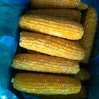 Corn Corn Corn New Crop BRC Certified Frozen Sweet Corn Cob Cut / Whole Good Quality