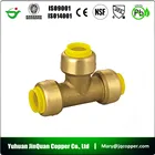 Push In Push In Fitting Quick Connect With PEX COPPER CPVC Lead Free Brass Push In Fittings