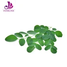 Moringa Moringa Powder Price Natural Extract Indian Moringa Seed And Leaf Powder Moringa Leaf Powder