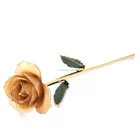 Rose OEM/ODM Ivory White Rose With 24k Gold Trimmed For Valentine's Gift