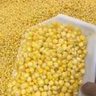 Yellow Corn Corn Yellow Corn For Poultry Feed For Sale Yellow Maize