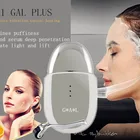 Portable Skin Tightening Home Use Beauty Equipment Microcurrent Face Lift Portable Galvanic Spa Electroporation Machine For Skin Tightening