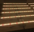 Good Hobby Good Quality LED Grow Light Bar 2.6umol/j High PPFD For Indoor Hobby Growing