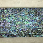Abalone Shellshell Beautiful Shining Paua Seashell Laminates Sheets Natural Abalone Puau Mother Of Pearl Wall Tile