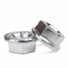 Din All Kinds Of Flange Nuts Stainless Steel SS304 SS316 DIN6926 Din6923 Hex Flange Nuts