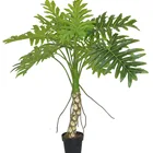 Philodendron Artificial Climbing Plant Wholesale Factory Price Plant Tropical Plant Faux Artificial Philodendron