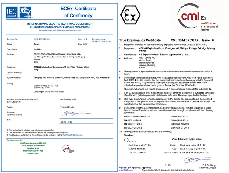 Manufacturing Iecex Atex Certified Explosion Proof 3w Led Emergency