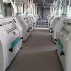 Wheat Flour Wheat Wheat Flour Plant Turn-key 100TPD Wheat Flour Milling Plant