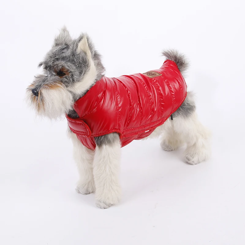 Are Dog Clothes Bad For Dogs