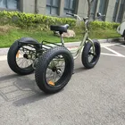 Fat Adult Tricycle 20"*4.0" Cargo Bike Bicycle Wheels Cheap Beach Bike