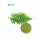Moringa Moringa Manufacturers Top Quality Organic Moringa Powder Moringa Leaves Tea Moringa Leaf Extract Powder