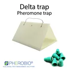 Fruit Peach Fruit Moth Carposina Sasakii Pheromone Lure Pheromone Trap