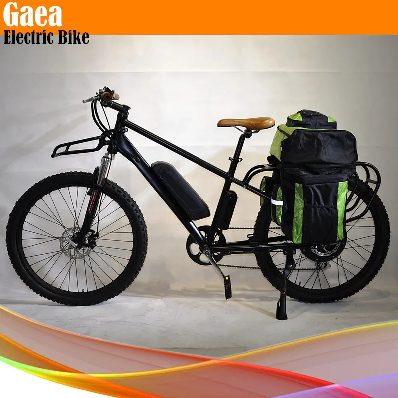 electric bike bag