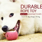 Non Toxic Dog Toys Chew Toy For Dogs Durable Tpr Non Toxic Pet Dog Ball Rope Chew Toys For Dental Health