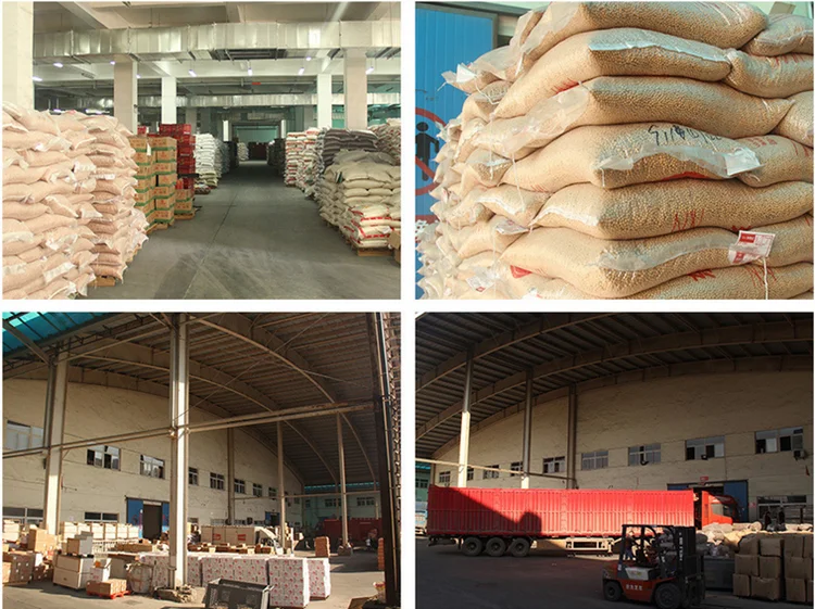 China factory supply bulk soybean seed dried cheap soybeans for sale