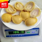 Shellfish Shellfish Canned Abalone 8 Pcs In Brine Shellfish Fresh Seafood Canned Abalone With Good Taste