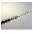 Cable Fibre Optic 2 4 12 Core Single Mode Outdoor Armored GYXTW Fiber Optic Cable 1km Price