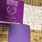 Paper Sheet Abrasive Paper Sheet Ceramic Abrasives Paper Sheet