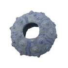 Sea Resin Crafts Artificial Sea Urchin Sculpture For Fish Tank Aquarium Decor