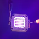 Power Led Chip 50w 300w Uv Led Chip 50W UV 385nm 395nm 400nm 405nm 410nm 420nm 430nm High Power LED Chip
