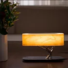 Led Led Led Lighting High Quality LED Bedside Table Lamps With Wireless Charging And Music Speaker