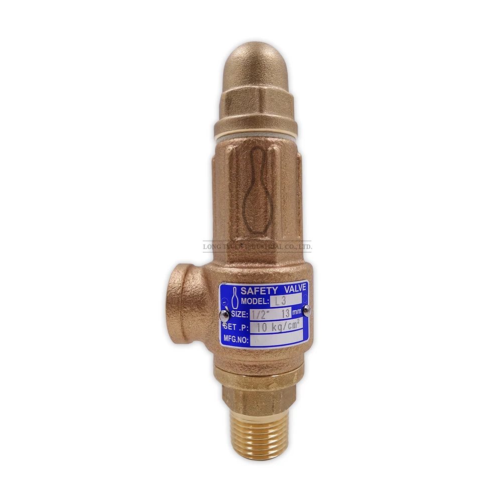 hisec safety valve supplier