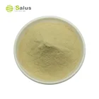 Green Green Coffee Beans Extract Capsules Weight Loss Green Coffee Bean Extract Capsules