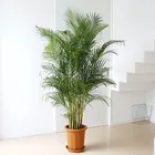 High Quality Home decoration Size Palm Tree Artificial Plants