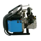 High Pressure Air Compressor Air Compressor Price New Mini And Cheaper High Pressure Air Compressor For Pcp Paintball