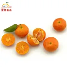 Mandarin China Sweet Sand Sugar Oranges Mandarin Orange