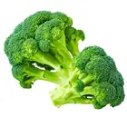 Organic New Crop Natural Quality IQF Frozen Chopped Organic Broccoli Frozen Cauliflower