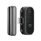 Intelligent Display Glass Sliding Smart Door Lock