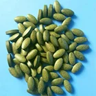 Health Nutritional Health Care Natural Nutritional Euglena Supplement OEM