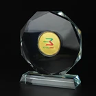 Gold Trophy New Design Gold Painted Insert Coin Crystal Award Trophy Customized For Sale