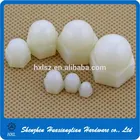 Nuts DIN1587 Plastic Nylon PCB Hexagon Domed Long Connecting Cap Nuts With High Quality