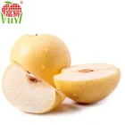 Pear Pearpear Chinese Pear Cheap Price From Pear Factory