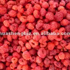 IQF Frozen Red Raspberry For Sale