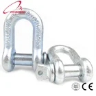 Forged D D Forged Shackle Galvanized Plated Carbon Steel Hot Forged D Shackle Type With Screw Pin