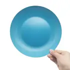 Family Dinner Plate Wholesale Biodegradable Bamboo Reusable Dinner Plates For Family