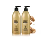 Shampoo OEM ODM The Best Selling Sulfate Free 2 In 1 Natural 100% Argan Oil Shine Hair Shampoo And Conditioner