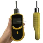 Concentration Portable Type CH3Br Methyl Bromide Gas Concentration Detector