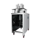 Pear Slicing Machine Balsam Pear Ginger Turmeric Slice Machine