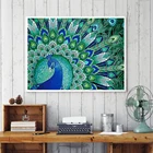Peacock Painting 5d Painting 5D Diamond Peacock Painting Model City DIY Diamond Embroidery Painting