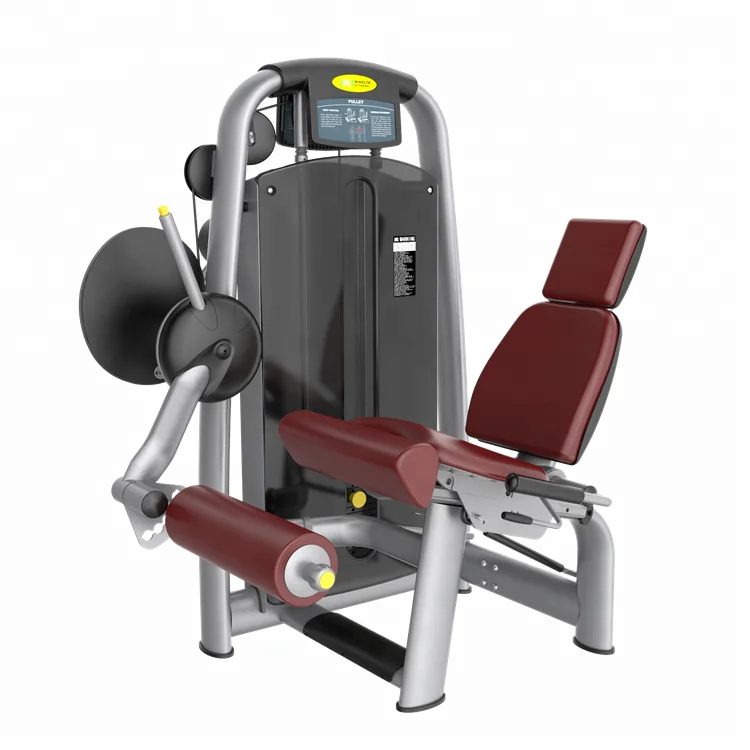 Commercial Gym Fitness Equipment Bodybuilding Exercise Training Machine