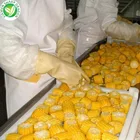Corn Corn Wholesale Price Iqf Frozen Sweet Corn Cob
