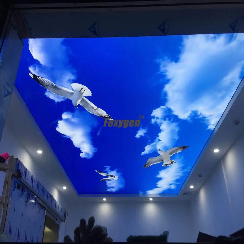 展示2