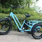 Bicycle Trike Tricycle Tricycle Electric Bike Electric Fat Bike 3 Wheel Cargo Bicycle Electric Trike Tricycle