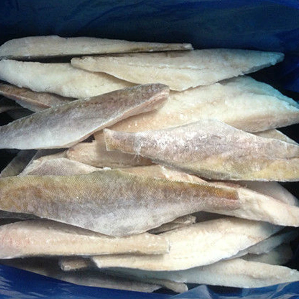 Hake Fish Frozen Hake Fillets Hake Fillet I Q F Merluza Merlucius Gayi Buy Hake Fish Fish Fillets Frozen Hake Fish Fillets Product On Alibaba Com